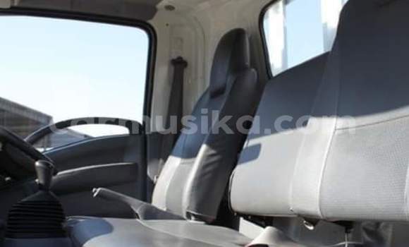 Tenga Tsaru Isuzu TF (Pickup) Chena Mota in Harare in Harare Tenga Tsaru Isuzu TF (Pickup) Chena Mota in Harare in Harare