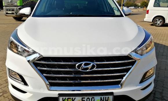 Buy Used Hyundai Tucson White Car in Beitbridge in Matabeleland South Buy Used Hyundai Tucson White Car in Beitbridge in Matabeleland South