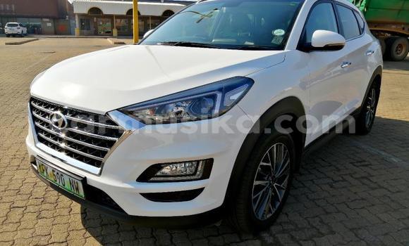 Tenga Tsaru Hyundai Tucson Chena Mota in Beitbridge in Matabeleland South Tenga Tsaru Hyundai Tucson Chena Mota in Beitbridge in Matabeleland South
