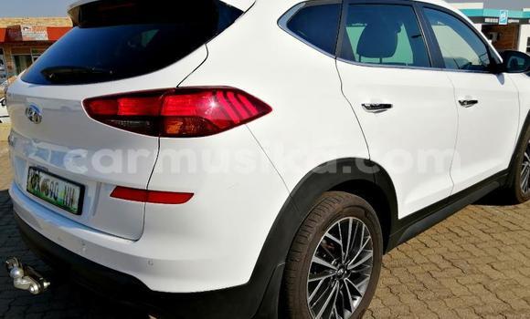 Tenga Tsaru Hyundai Tucson Chena Mota in Beitbridge in Matabeleland South Tenga Tsaru Hyundai Tucson Chena Mota in Beitbridge in Matabeleland South