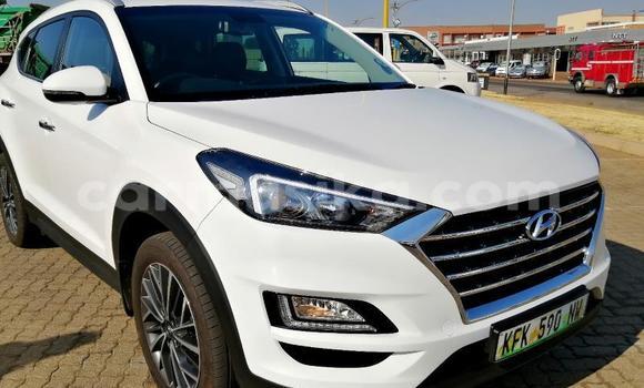 Tenga Tsaru Hyundai Tucson Chena Mota in Beitbridge in Matabeleland South Tenga Tsaru Hyundai Tucson Chena Mota in Beitbridge in Matabeleland South