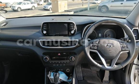 Tenga Tsaru Hyundai Tucson Chena Mota in Beitbridge in Matabeleland South Tenga Tsaru Hyundai Tucson Chena Mota in Beitbridge in Matabeleland South