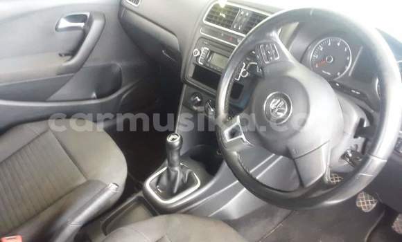 Buy Used Volkswagen Polo Silver Car in Beitbridge in Matabeleland South Buy Used Volkswagen Polo Silver Car in Beitbridge in Matabeleland South