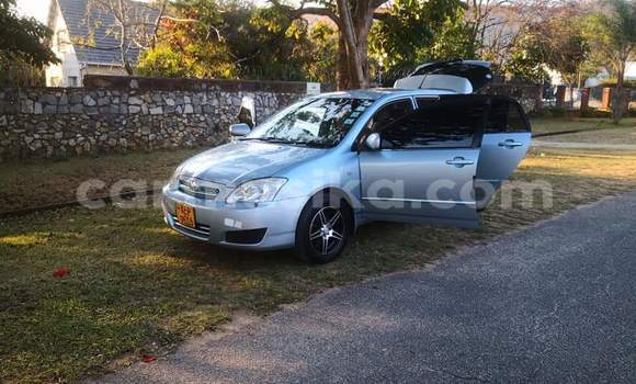 Tenga Tsaru Toyota Runx Sirivha Mota in Beitbridge in Matabeleland South Tenga Tsaru Toyota Runx Sirivha Mota in Beitbridge in Matabeleland South