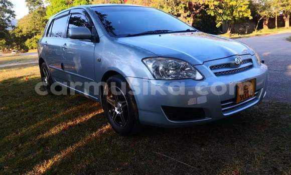 Tenga Tsaru Toyota Runx Sirivha Mota in Beitbridge in Matabeleland South Tenga Tsaru Toyota Runx Sirivha Mota in Beitbridge in Matabeleland South