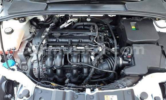 Buy Used Ford Focus ST White Car in Beitbridge in Matabeleland South Buy Used Ford Focus ST White Car in Beitbridge in Matabeleland South