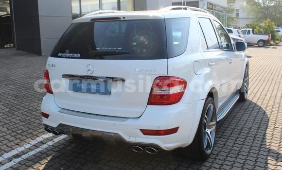 Buy Used Mercedes‒Benz ML–Class White Car in Beitbridge in Matabeleland South Buy Used Mercedes‒Benz ML–Class White Car in Beitbridge in Matabeleland South