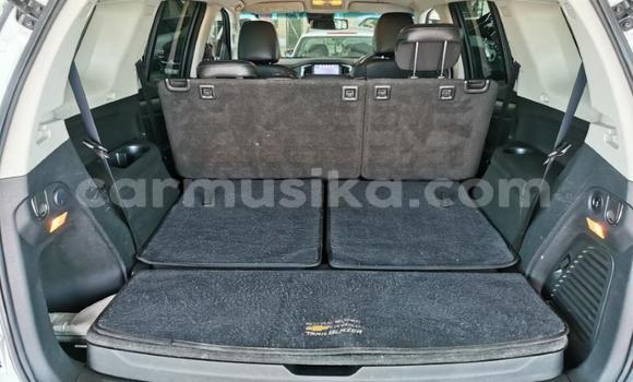 Acheter Occasion Voiture Chevrolet TrailBlazer Gris à Beitbridge, Matabeleland South Acheter Occasion Voiture Chevrolet TrailBlazer Gris à Beitbridge, Matabeleland South