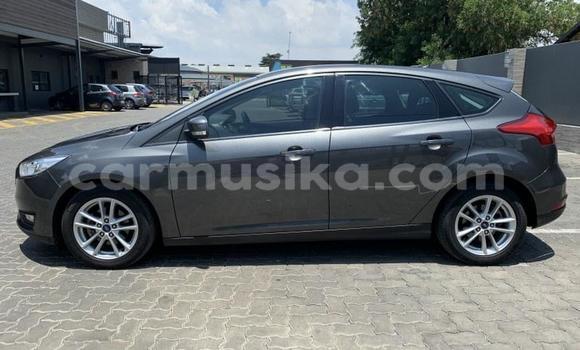 Tenga Tsaru Ford Focus Sirivha Mota in Beitbridge in Matabeleland South Tenga Tsaru Ford Focus Sirivha Mota in Beitbridge in Matabeleland South