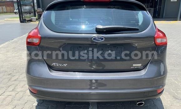 Tenga Tsaru Ford Focus Sirivha Mota in Beitbridge in Matabeleland South Tenga Tsaru Ford Focus Sirivha Mota in Beitbridge in Matabeleland South