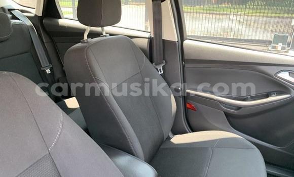 Tenga Tsaru Ford Focus Sirivha Mota in Beitbridge in Matabeleland South Tenga Tsaru Ford Focus Sirivha Mota in Beitbridge in Matabeleland South