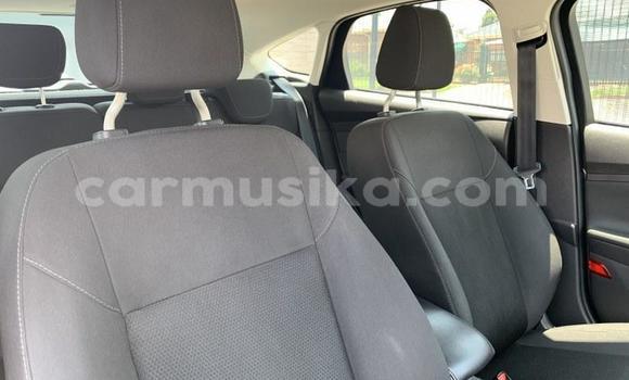 Tenga Tsaru Ford Focus Sirivha Mota in Beitbridge in Matabeleland South Tenga Tsaru Ford Focus Sirivha Mota in Beitbridge in Matabeleland South