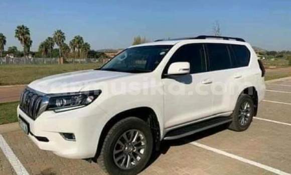 Buy Used Toyota Land Cruiser Prado White Car in Borrowdale in Harare