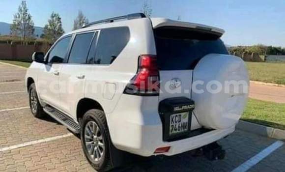 Nunua Ilio tumika Toyota Land Cruiser Prado Nyeupe Gari ndani ya Borrowdale nchini Harare Nunua Ilio tumika Toyota Land Cruiser Prado Nyeupe Gari ndani ya Borrowdale nchini Harare