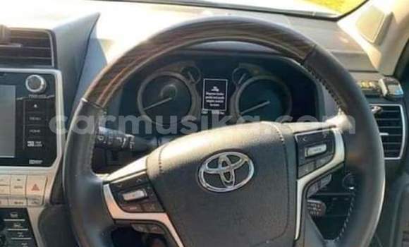 Nunua Ilio tumika Toyota Land Cruiser Prado Nyeupe Gari ndani ya Borrowdale nchini Harare Nunua Ilio tumika Toyota Land Cruiser Prado Nyeupe Gari ndani ya Borrowdale nchini Harare