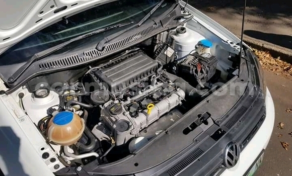 Acheter Occasion Voiture Volkswagen Polo Blanc à Alexandra Park, Harare Acheter Occasion Voiture Volkswagen Polo Blanc à Alexandra Park, Harare