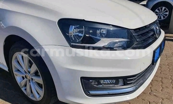 Buy Used Volkswagen Polo White Car in Alexandra Park in Harare Buy Used Volkswagen Polo White Car in Alexandra Park in Harare