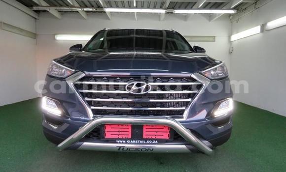 Tenga Tsaru Hyundai Tucson Zvimwe Mota in Harare in Harare