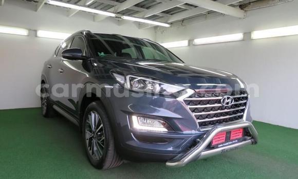 Tenga Tsaru Hyundai Tucson Zvimwe Mota in Harare in Harare Tenga Tsaru Hyundai Tucson Zvimwe Mota in Harare in Harare