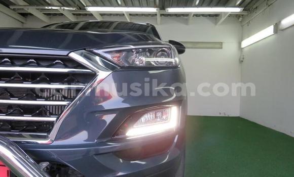 Tenga Tsaru Hyundai Tucson Zvimwe Mota in Harare in Harare Tenga Tsaru Hyundai Tucson Zvimwe Mota in Harare in Harare