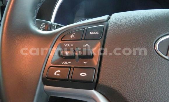 Tenga Tsaru Hyundai Tucson Zvimwe Mota in Harare in Harare Tenga Tsaru Hyundai Tucson Zvimwe Mota in Harare in Harare