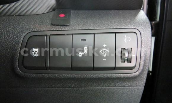 Tenga Tsaru Hyundai Tucson Zvimwe Mota in Harare in Harare Tenga Tsaru Hyundai Tucson Zvimwe Mota in Harare in Harare