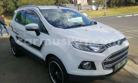 Tenga Tsaru Ford EcoSport Chena Mota in Beitbridge in Matabeleland South