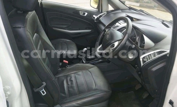 Tenga Tsaru Ford EcoSport Chena Mota in Beitbridge in Matabeleland South Tenga Tsaru Ford EcoSport Chena Mota in Beitbridge in Matabeleland South