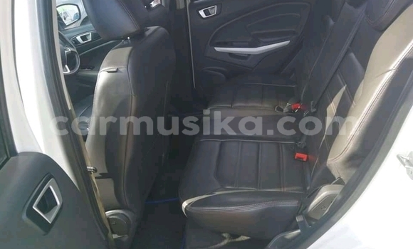 Tenga Tsaru Ford EcoSport Chena Mota in Beitbridge in Matabeleland South Tenga Tsaru Ford EcoSport Chena Mota in Beitbridge in Matabeleland South