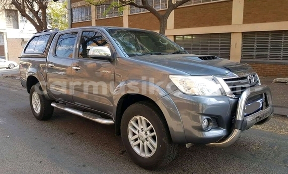 Tenga Tsaru Toyota Hilux Chena Mota in Beitbridge in Matabeleland South Tenga Tsaru Toyota Hilux Chena Mota in Beitbridge in Matabeleland South