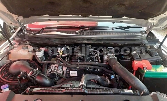 Tenga Tsaru Ford Ranger Sirivha Mota in Beitbridge in Matabeleland South Tenga Tsaru Ford Ranger Sirivha Mota in Beitbridge in Matabeleland South