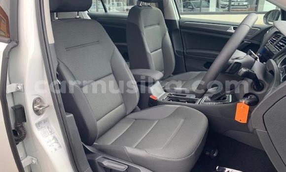 Tenga Tsaru Volkswagen Golf Chena Mota in Harare in Harare Tenga Tsaru Volkswagen Golf Chena Mota in Harare in Harare