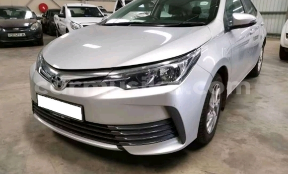 Tenga Tsaru Toyota Corolla Chena Mota in Beitbridge in Matabeleland South