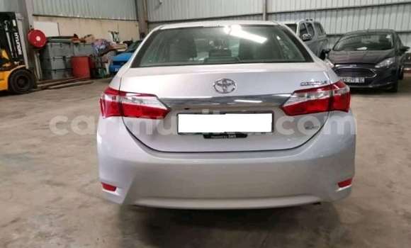 Tenga Tsaru Toyota Corolla Chena Mota in Beitbridge in Matabeleland South Tenga Tsaru Toyota Corolla Chena Mota in Beitbridge in Matabeleland South