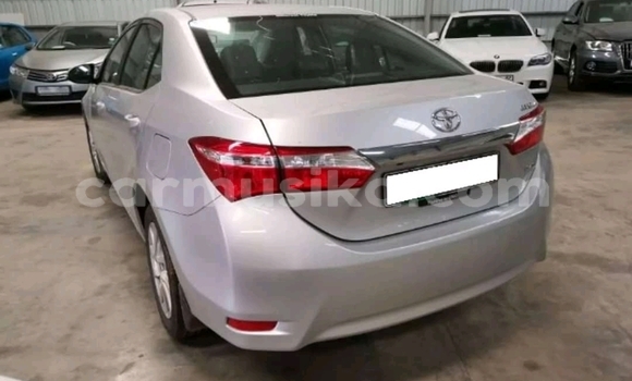 Tenga Tsaru Toyota Corolla Chena Mota in Beitbridge in Matabeleland South Tenga Tsaru Toyota Corolla Chena Mota in Beitbridge in Matabeleland South