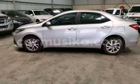 Tenga Tsaru Toyota Corolla Chena Mota in Beitbridge in Matabeleland South Tenga Tsaru Toyota Corolla Chena Mota in Beitbridge in Matabeleland South