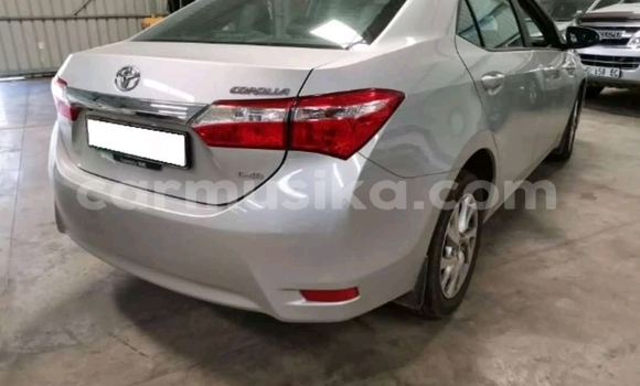 Tenga Tsaru Toyota Corolla Chena Mota in Beitbridge in Matabeleland South Tenga Tsaru Toyota Corolla Chena Mota in Beitbridge in Matabeleland South