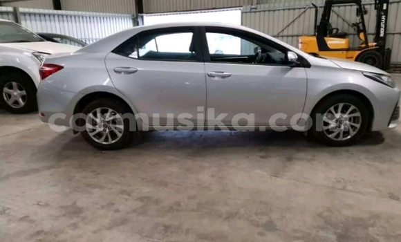 Tenga Tsaru Toyota Corolla Chena Mota in Beitbridge in Matabeleland South Tenga Tsaru Toyota Corolla Chena Mota in Beitbridge in Matabeleland South