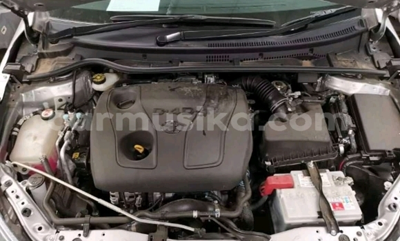 Tenga Tsaru Toyota Corolla Chena Mota in Beitbridge in Matabeleland South Tenga Tsaru Toyota Corolla Chena Mota in Beitbridge in Matabeleland South