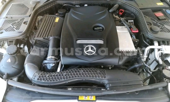 Tenga Tsaru Mercedes‒Benz C–Class Chena Mota in Beitbridge in Matabeleland South Tenga Tsaru Mercedes‒Benz C–Class Chena Mota in Beitbridge in Matabeleland South
