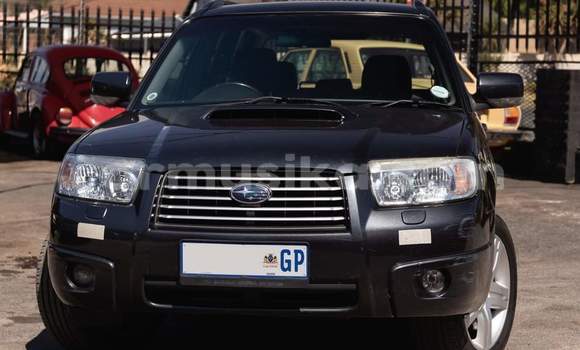 Buy Used Subaru Forester Black Car in Beitbridge in Matabeleland South