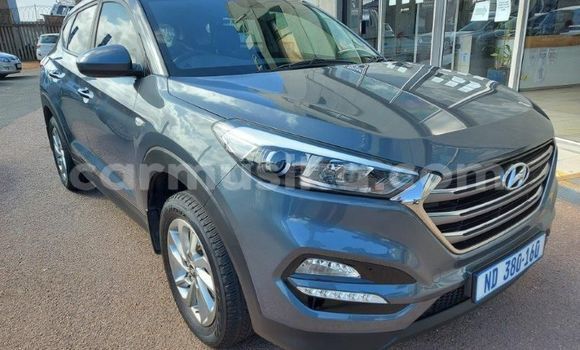 Nunua Ilio tumika Hyundai Tucson Nyingine Gari ndani ya Borrowdale nchini Harare