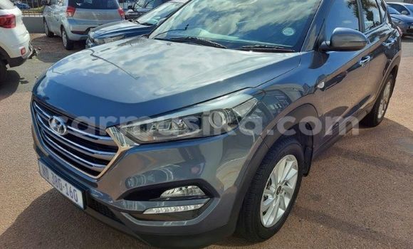 Buy Used Hyundai Tucson Other Car in Borrowdale in Harare Buy Used Hyundai Tucson Other Car in Borrowdale in Harare