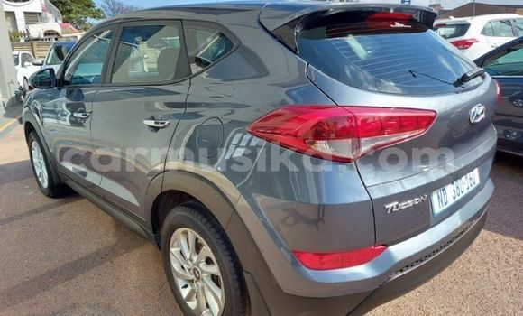 Buy Used Hyundai Tucson Other Car in Borrowdale in Harare Buy Used Hyundai Tucson Other Car in Borrowdale in Harare