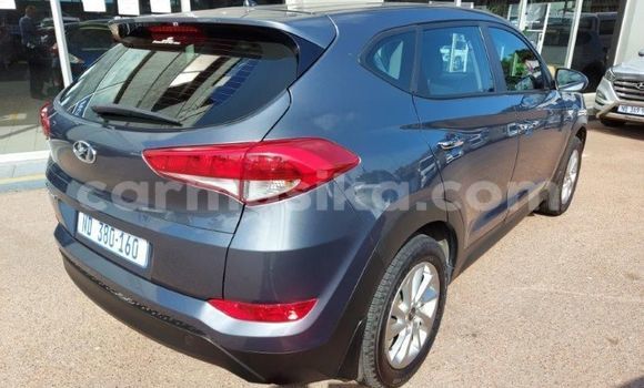 Buy Used Hyundai Tucson Other Car in Borrowdale in Harare Buy Used Hyundai Tucson Other Car in Borrowdale in Harare