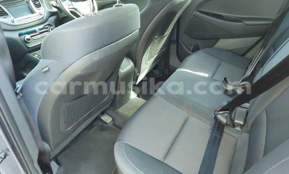 Buy Used Hyundai Tucson Other Car in Borrowdale in Harare Buy Used Hyundai Tucson Other Car in Borrowdale in Harare