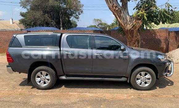 Tenga Tsaru Toyota Hilux Nhema Mota in Beitbridge in Matabeleland South Tenga Tsaru Toyota Hilux Nhema Mota in Beitbridge in Matabeleland South