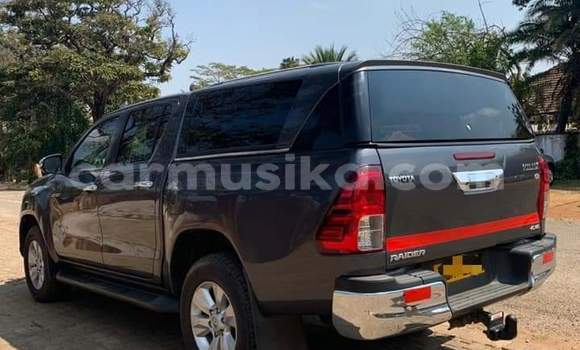 Tenga Tsaru Toyota Hilux Nhema Mota in Beitbridge in Matabeleland South Tenga Tsaru Toyota Hilux Nhema Mota in Beitbridge in Matabeleland South