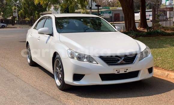 Acheter Occasion Voiture Toyota Mark X Blanc à Beitbridge, Matabeleland South