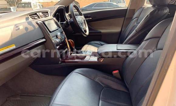 Tenga Tsaru Toyota Mark X Chena Mota in Beitbridge in Matabeleland South Tenga Tsaru Toyota Mark X Chena Mota in Beitbridge in Matabeleland South